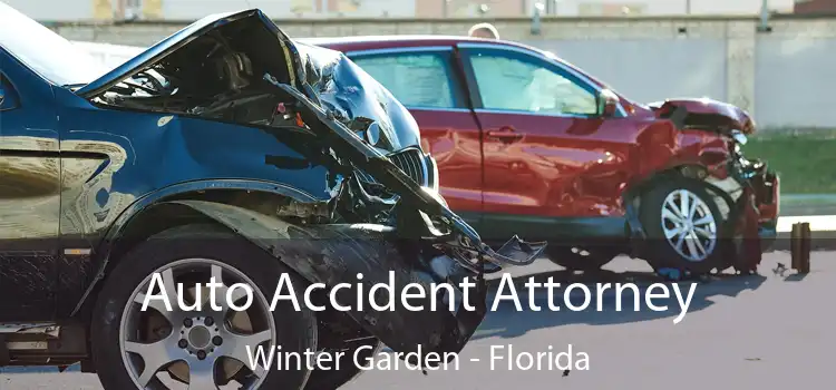 Auto Accident Attorney Winter Garden - Florida