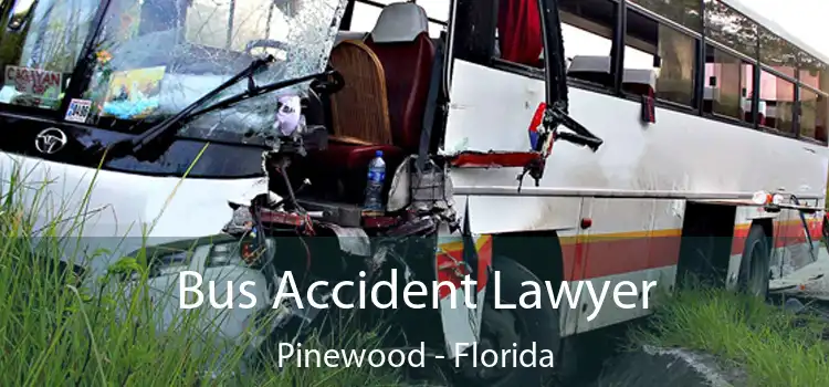 Bus Accident Lawyer Pinewood - Florida