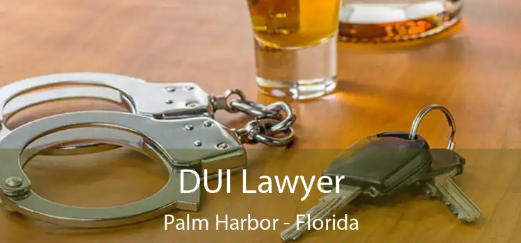 DUI Lawyer Palm Harbor - Florida