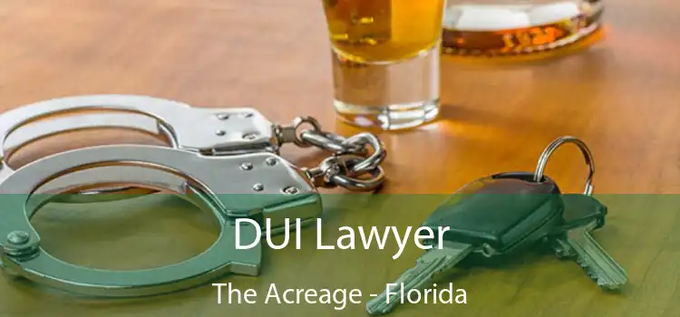 DUI Lawyer The Acreage - Florida