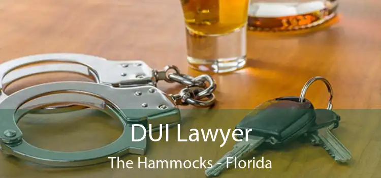 DUI Lawyer The Hammocks - Florida