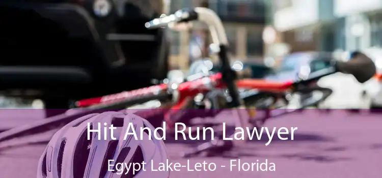 Hit And Run Lawyer Egypt Lake-Leto - Florida