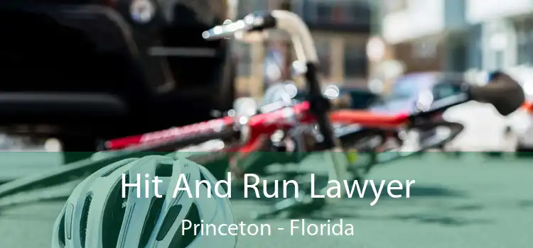 Hit And Run Lawyer Princeton - Florida