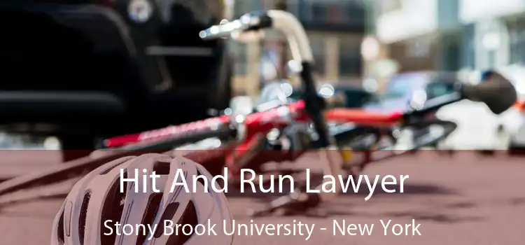 Hit And Run Lawyer Stony Brook University - New York