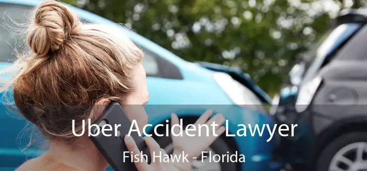 Uber Accident Lawyer Fish Hawk - Florida