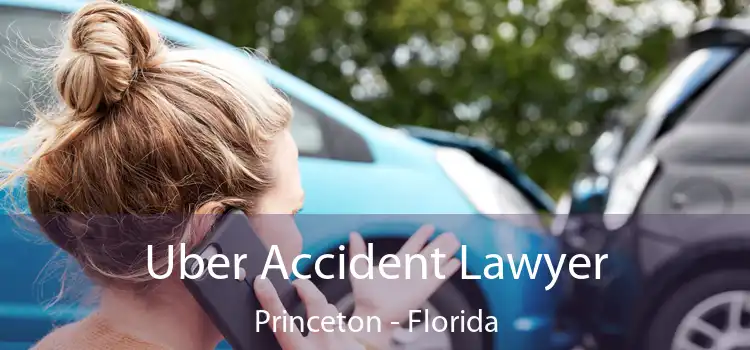 Uber Accident Lawyer Princeton - Florida